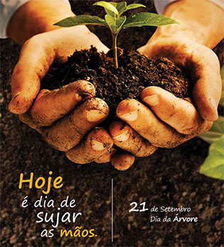 Colhendo bons frutos